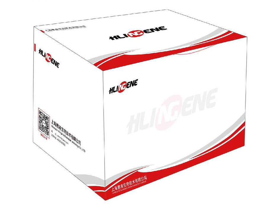 无内毒素质粒小提试剂盒